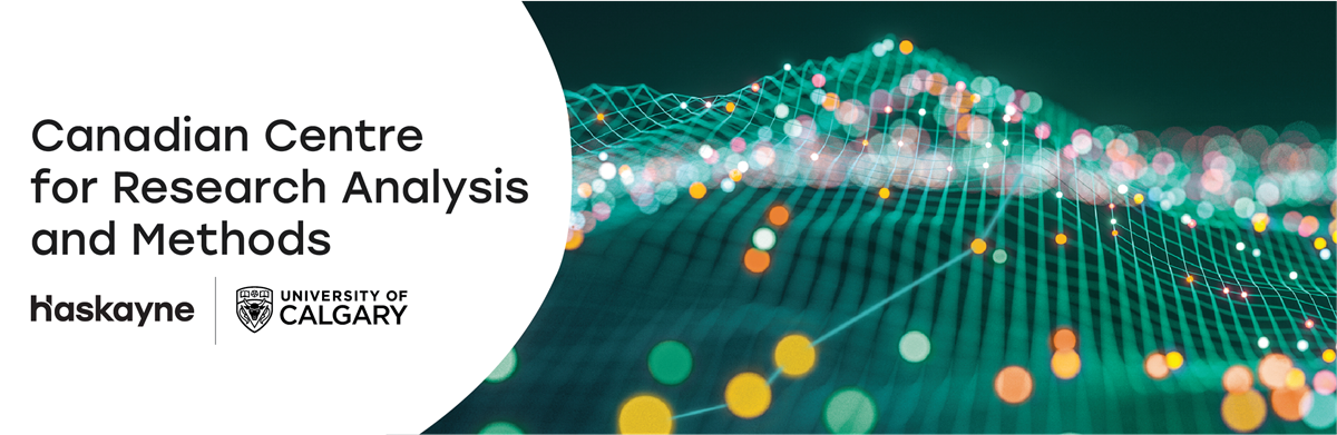 CCRAM logo with digital mountains